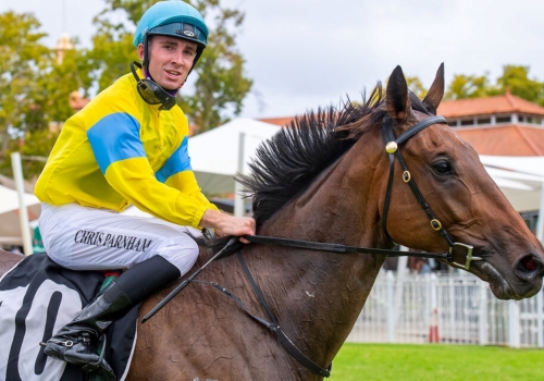 Alaskan God firms for G2 WATC Derby