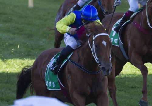 All Banter banks black-type at Oakbank
