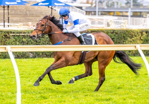 All Show all class at Belmont