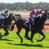 Payback time for Peters Investments