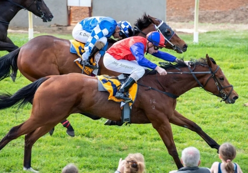 Pearce Racing on Lucky Street