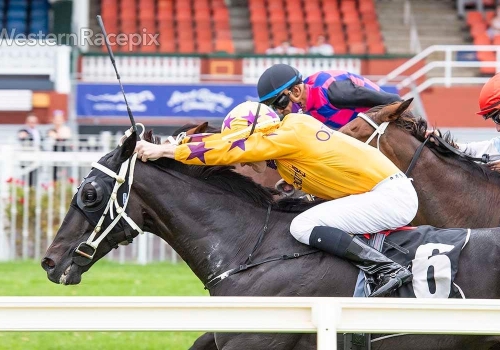 Fighting Stakes winner for Playing God