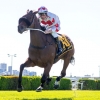 Quality Rubick Trio at Perth Magic Millions