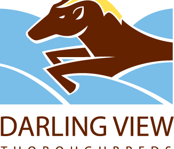 Darling View offers Breeding packages for resident Stallions