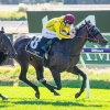 Gold Flakes a Godsend at Ascot