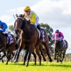 Pinjarra double for Darling View’s Eladdair