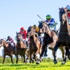 Playing God 3yo leaves rivals on the Ropes