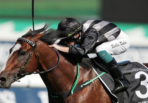 Darling View signs Snitzel speedster Splintex