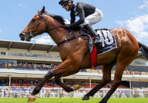 Darling View sires firing for Stewart