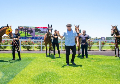 Harrison career-best quartet at Ascot
