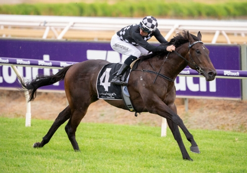 Swear To God saved for G3 Sires’ Produce Stakes