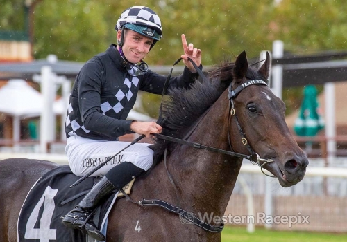 Stewarts reject offers for Swear To God