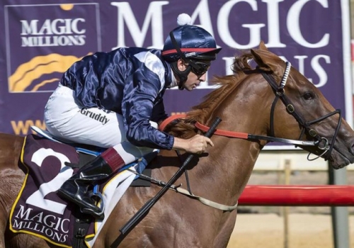WBA Capitalises in Perth