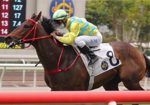 Winning Method for WA in Hong Kong