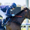 Playing God 3yo in Play for Ascot