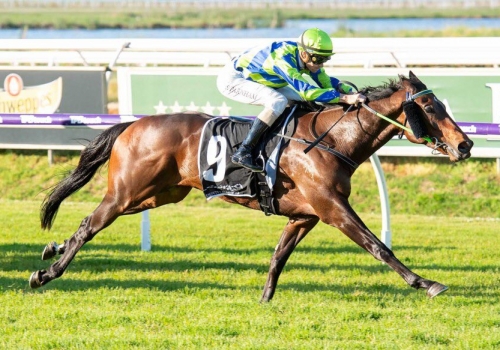 Bustler rated the best by Parnham