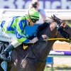 Bustler bolts in for Playing God