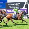 Playing God 3YOs power charge to premiership