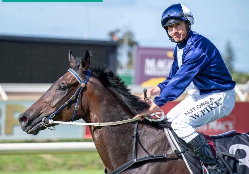 Happy win for Son of a Gun
