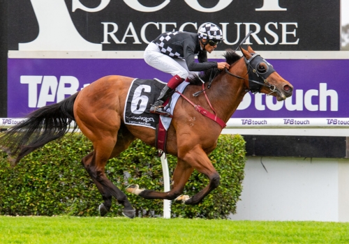 Darling View sires on Parade at Ascot