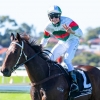 Warm ‘N’ Fuzzy a model of consistency for Maley