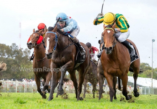 Girls go Dancing after Champion Fillies